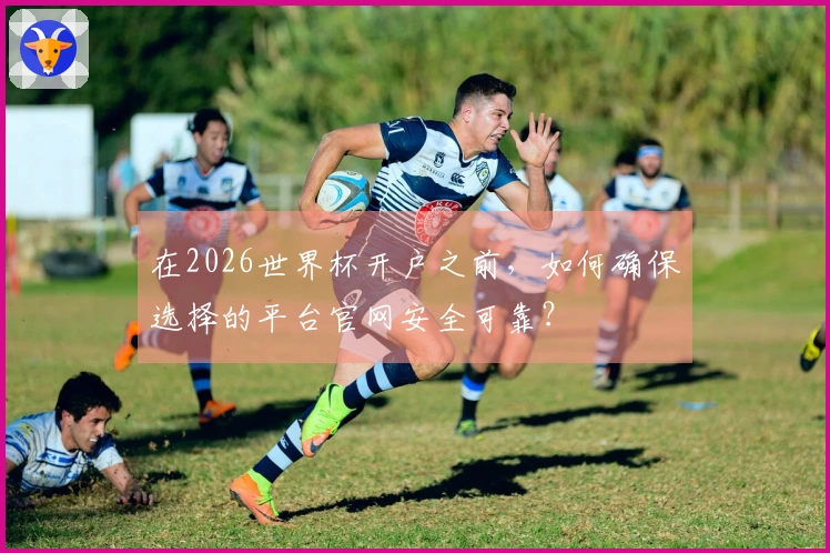 在2026世界杯开户之前，如何确保选择的平台官网安全可靠？