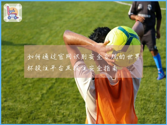如何通过官网识别安全合规的世界杯投注平台及投注安全指南